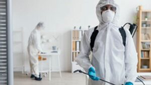 Early Signs of Pest Infestation You Shouldn’t Ignore